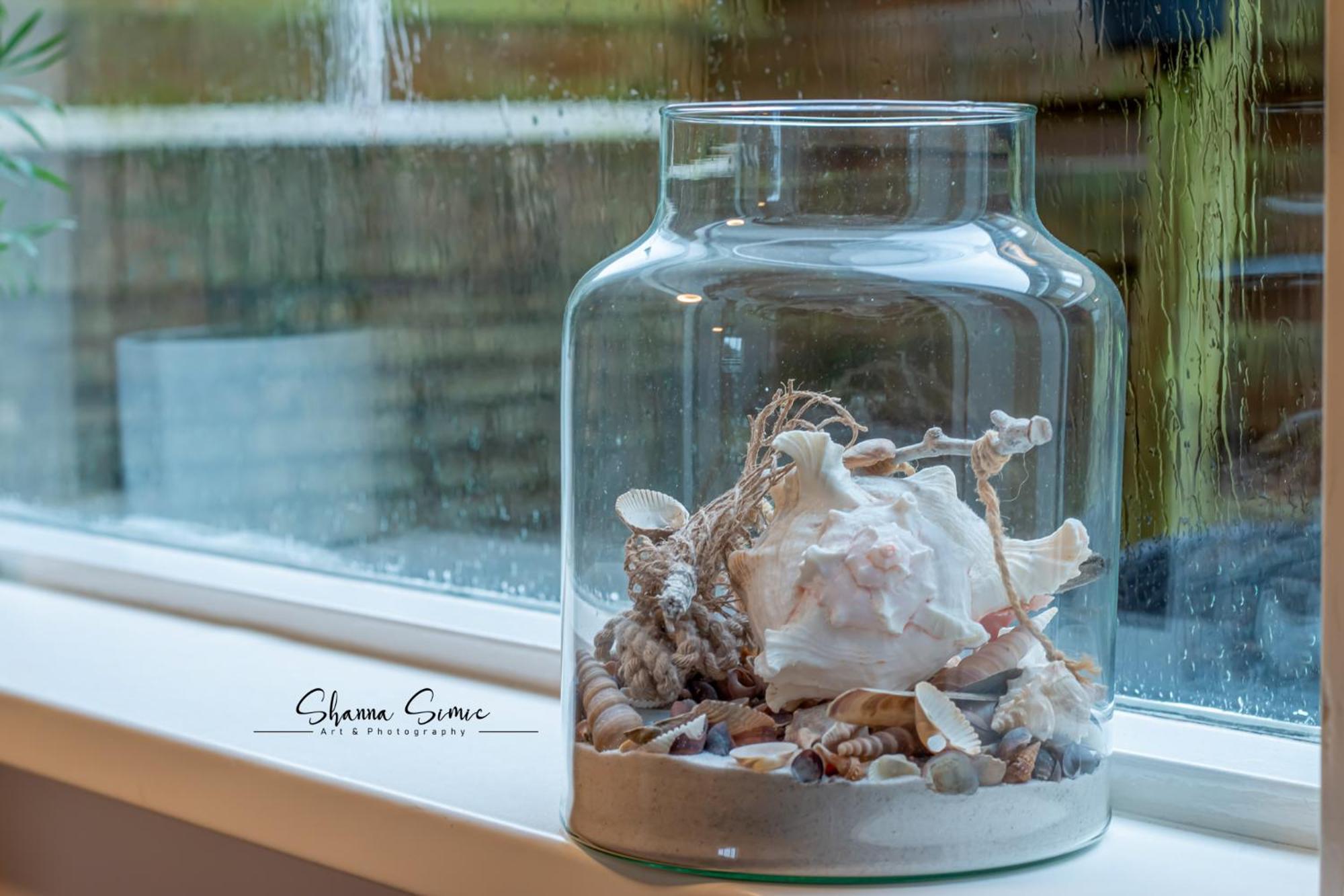 Carpe Diem Egmond Aan Zee By Urban Home Stay Exterior photo
